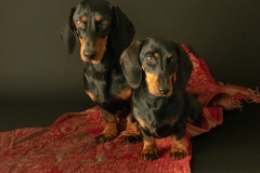 lizelot-en-anne-fleur