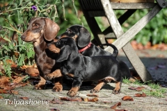 Pleuntje samen met haar dochter Lizelot en Anne Fleur