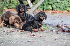 november-2022-anne-anne-fleur-en-lizelot-2-van-7