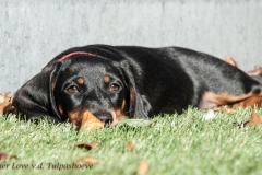 heerlijk in het zonnetje