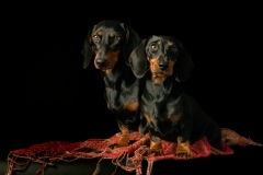 lizelot-en-anne-fleur-zwart