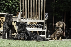 lekker genieten van de zon