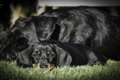 samen met Remsey
