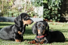 Lizelot en Anne Fleur