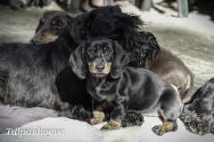 met moeder Pleuntje en Remsey