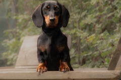 you hoe.. hier zit ik..