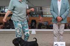 Hier werd hij Beste Reu. De keurmeester was Dhr. J. Wauben